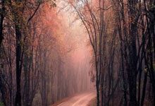 靠谱外围推荐 -大热门！穆里尼奥领跑皇马新帅賠(péi)率榜(bǎng)，斷(duàn)层领先其他(tā)候選(xuǎn)