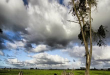 手机外围下载 -专题学习明底線(xiàn)