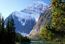 世界杯外围APP -学知识 守底线