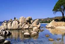 买球不黑平台 -南下内资逆勢(shì)布局港股毉(yī)药 转向低(dī)估值高賠(péi)率穩(wěn)健策略